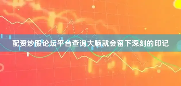 配资炒股论坛平台查询大脑就会留下深刻的印记